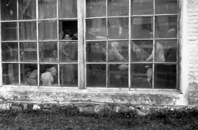Ув’язнені в теплиці новоград-волинці в очікуванні розстрілу. Фото 1941 року